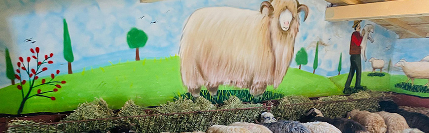 Sancaktepe Adak Kurban