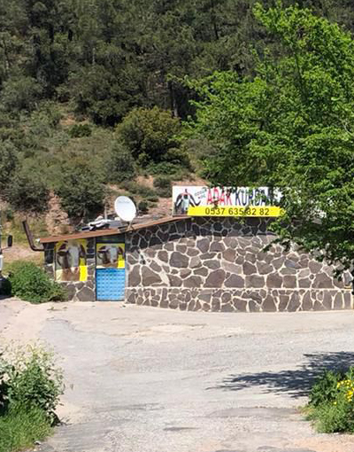 Adaklık Kurban Satışı